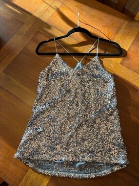 Express Silver Sequin Strappy Cami